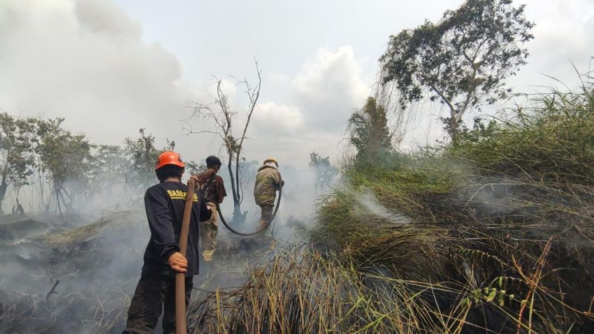 5 Petugas BPBD Beltim Dilarikan ke Puskesmas usai Terpapar Asap Pekat Karhutla