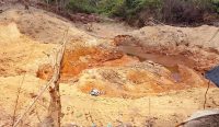 Hutan Lindung Berhala Rusak Parah, KNPI Babar Desak Aparat Tindak Penambang Ilegal
