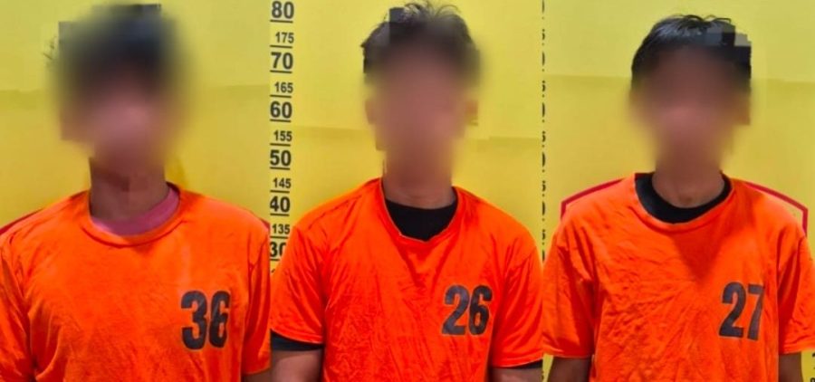 Polisi Tangkap 3 Pencuri Sawit PT MHL, Kasi Humas: Penanganan Sesuai Prosedur