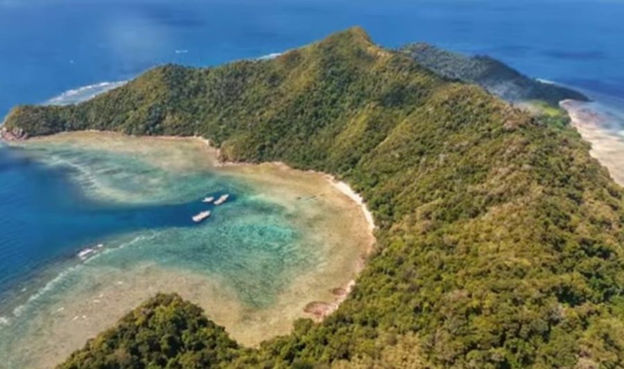PT ThorCon Power Indonesia Resmi Dibubarkan, Likuidator Buka Pendaftaran Tagihan Kreditor