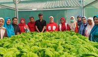 Dessy Ayutrisna Apresiasi KWT Pandan Sari, Dorong Perempuan Produktif Lewat Pertanian